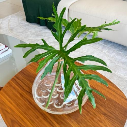 Pequenos detalhes que inspiram leveza e fazem o ambiente respirar.